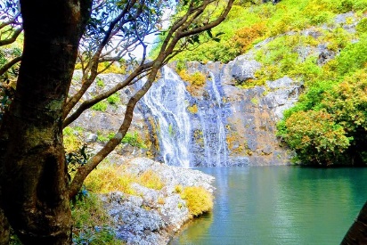 Tamarind Fall GuidedHike 2